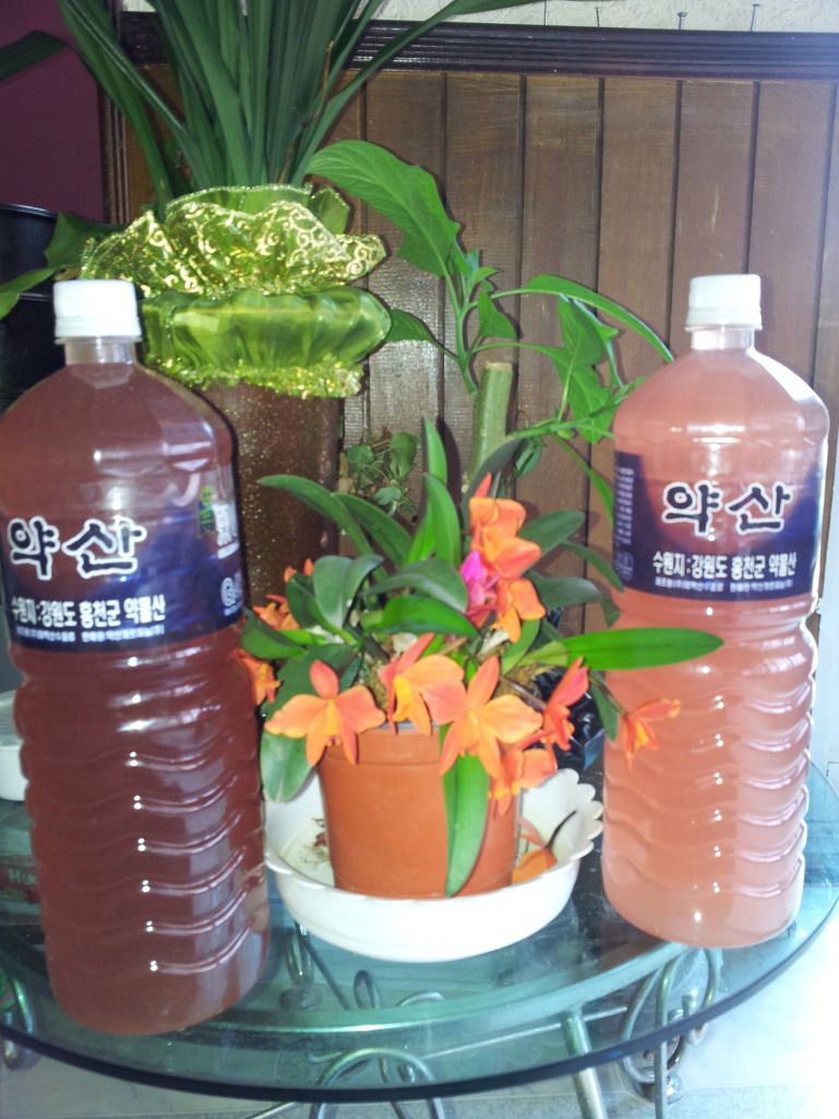 장터 상품 [돌배효소 패트병 2리터] 썸네일