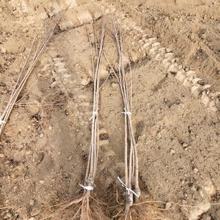 상호현님의 기타작물 · 자유게시판 작성글 사진