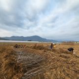 팜모닝 기타작물·자유게시판 게시글 이미지