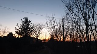 농부아내님의 기타작물 · 자유게시판 작성글 사진