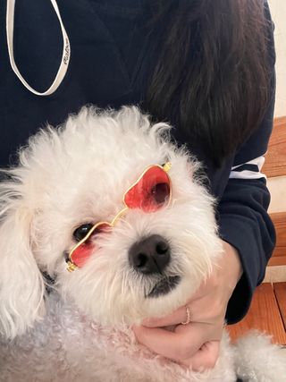 갱낸 갱얼쥐님의 기타작물 · 자유게시판 작성글 사진