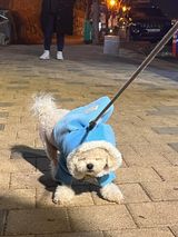 팜모닝 기타작물·자유게시판 게시글 이미지