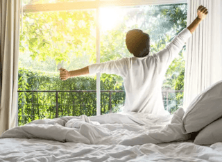 팜모닝 운영자님의 기타작물 · 자유게시판 작성글 사진