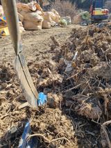 팜모닝 · 게시글 이미지