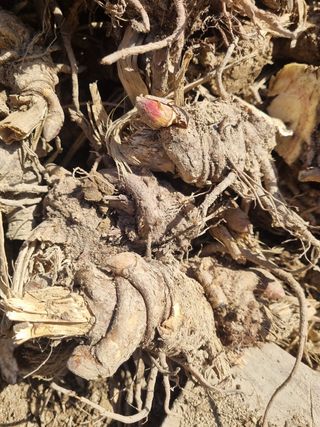 이호성님의 작성글 사진