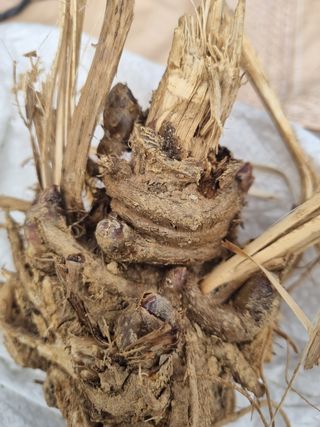 이호성님의 작성글 사진