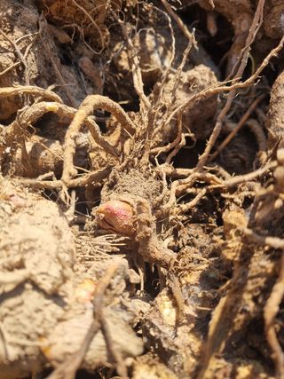 이호성님의 작성글 사진