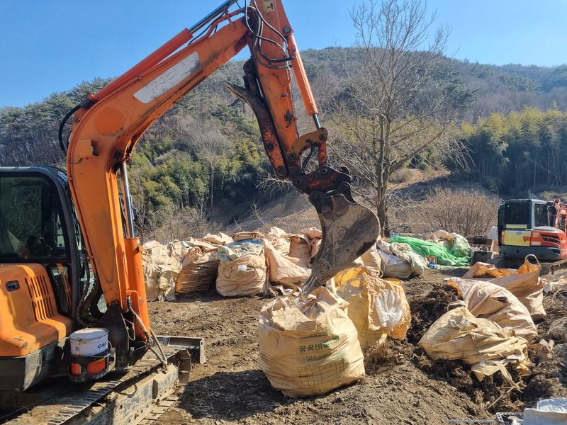 이호성님의 장터 판매 상품 [4년생 땅두릅 모종] 첨부 사진