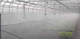 포깅농자재님의 작성글 사진