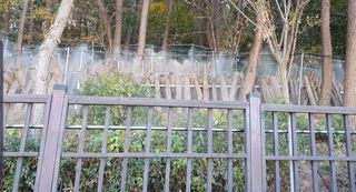 포깅농자재님의 작성글 사진