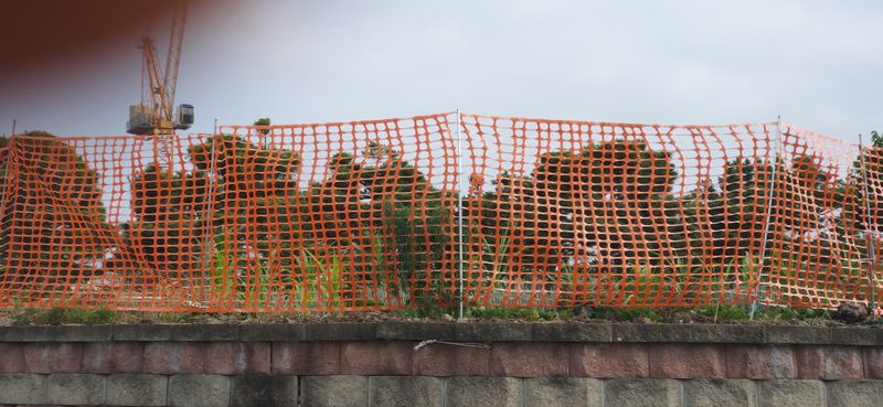 장터 상품 [오렌지 펜스망] 썸네일