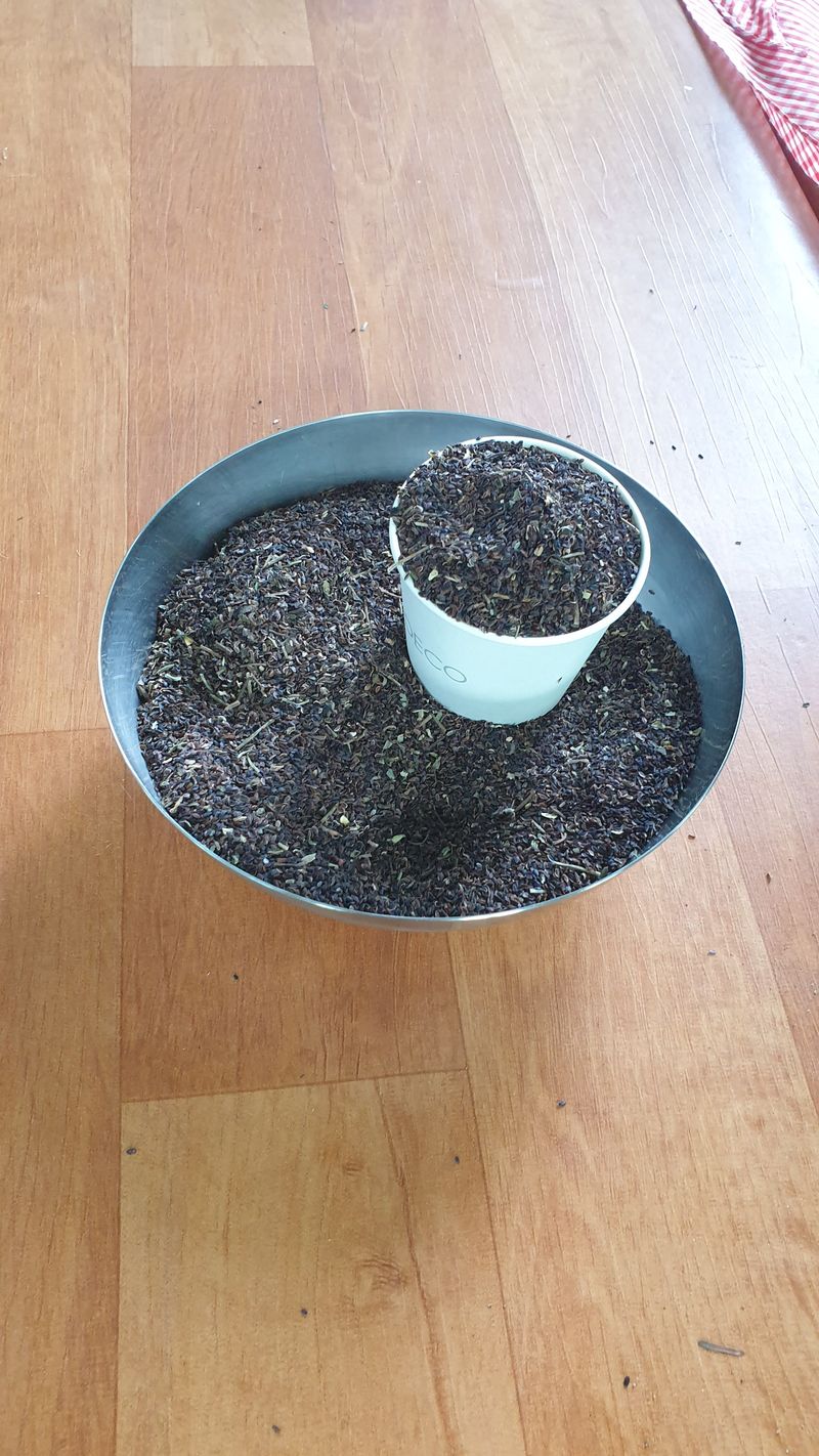 장터 상품 [22년 도라지씨앗 판매] 썸네일