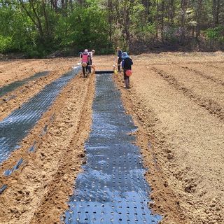 조병대님의 기타작물 · 자유게시판 작성글 사진