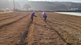 조병대님의 기타작물 · 자유게시판 작성글 사진