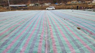 조병대님의 기타작물 · 자유게시판 작성글 사진