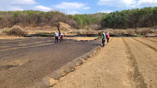 조병대님의 기타작물 · 자유게시판 작성글 사진