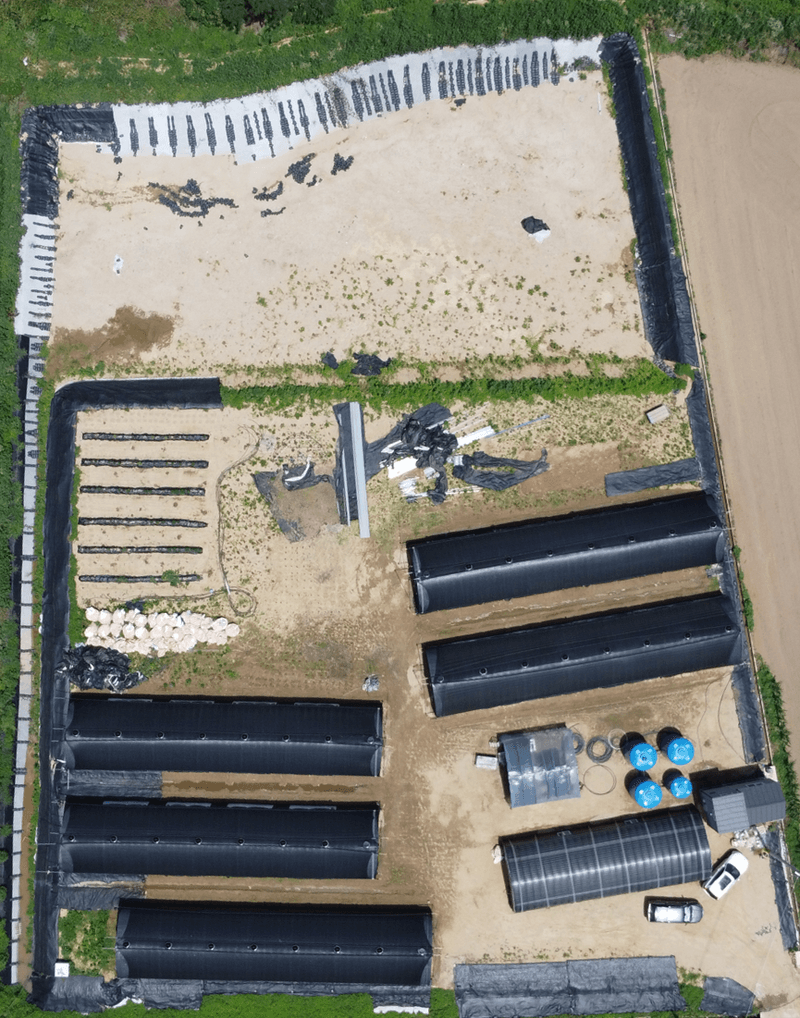 껀 상황버섯님의 장터 판매 상품 [껀 상황버섯, 10일분 / 건강이 필요한 상황? 그럼, 껀 상황버섯!] 첨부 사진