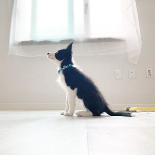 심규영님의 기타작물 · 자유게시판 작성글 사진