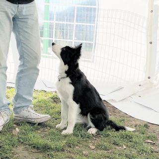 심규영님의 기타작물 · 자유게시판 작성글 사진