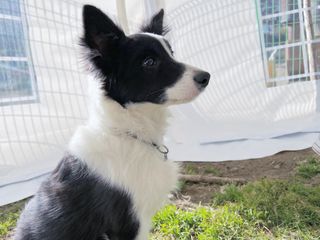 심규영님의 기타작물 · 자유게시판 작성글 사진