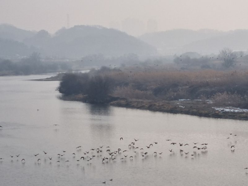 장터 상품 [예초기 둥근톱.] 썸네일
