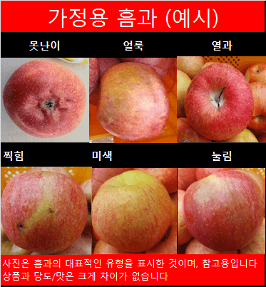 숲등농장 달밭사과님의 장터 판매 상품 [[설날선물포장]숲등농장 안동꿀사과[예약무료배송]] 첨부 사진