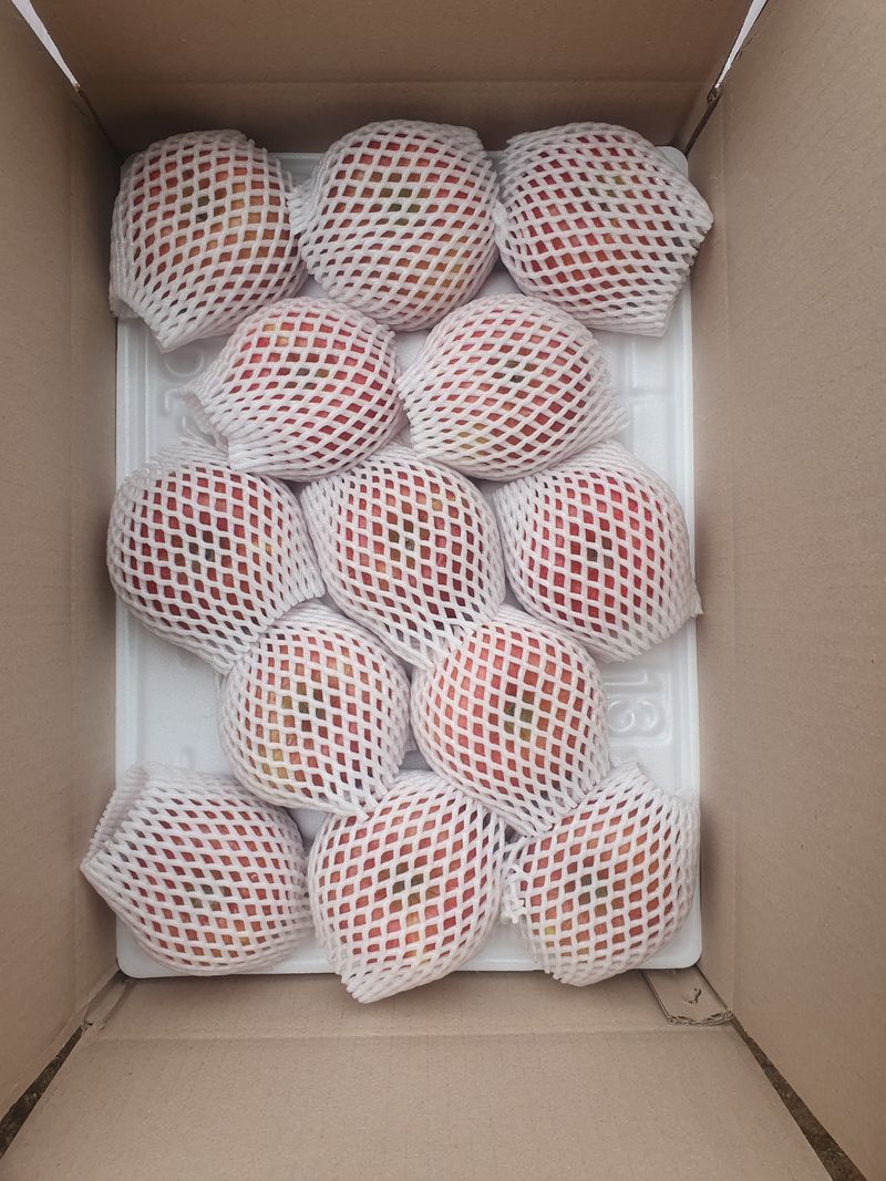 숲등농장 달밭사과님의 장터 판매 상품 [[설날선물포장]숲등농장 안동꿀사과[무료배송]] 첨부 사진