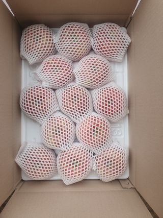 숲등농장 달밭사과님의 작성글 사진