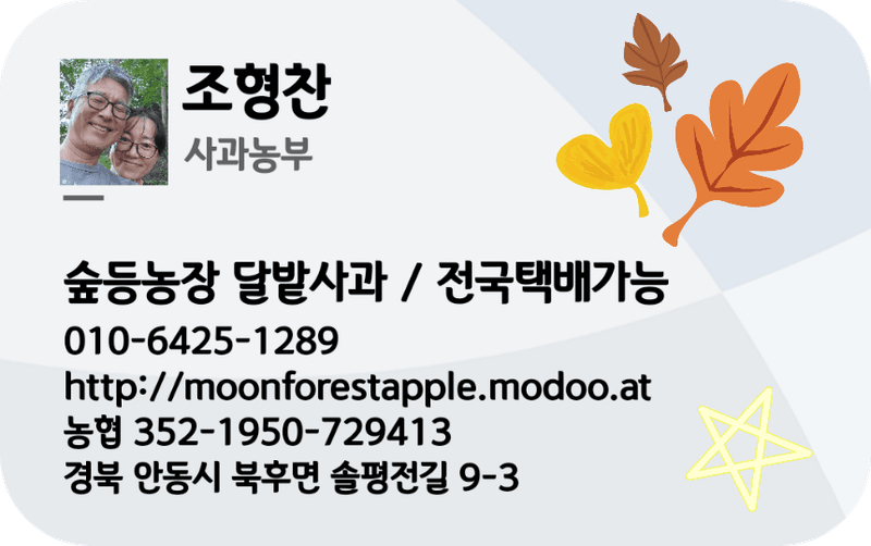 숲등농장 달밭사과님의 장터 판매 상품 [[설날선물포장]숲등농장 안동꿀사과[무료배송]] 첨부 사진