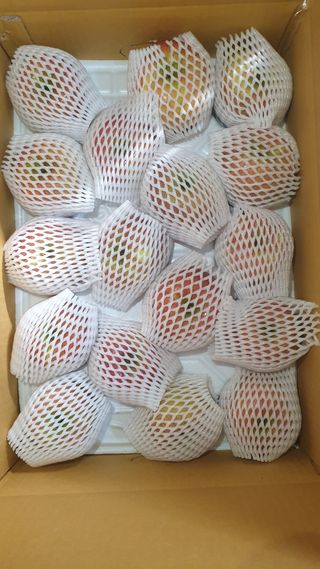 호랑이와인성이님의 사과 · 저장•가공 작성글 사진