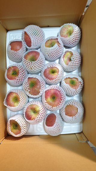 호랑이와인성이님의 사과 · 저장•가공 작성글 사진