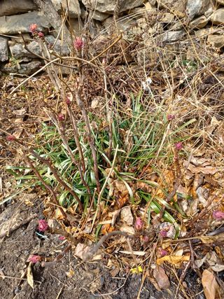 알 수 없음님의 기타작물 · 자유게시판 작성글 사진