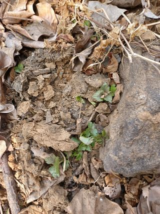 알 수 없음님의 기타작물 · 자유게시판 작성글 사진