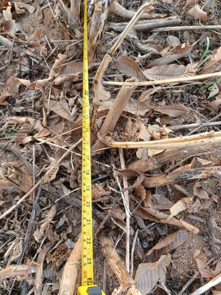 알 수 없음님의 기타작물 · 자유게시판 작성글 사진