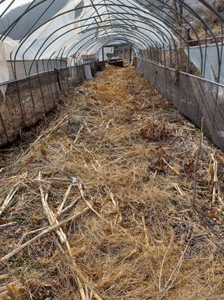 알 수 없음님의 기타작물 · 자유게시판 작성글 사진