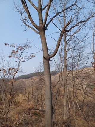 알 수 없음님의 기타작물 · 자유게시판 작성글 사진
