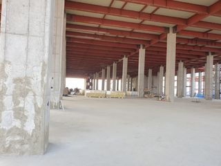 허굴산농장님의 기타작물 · 자유게시판 작성글 사진