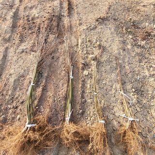 상호현님의 기타작물 · 자유게시판 작성글 사진