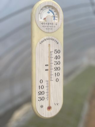 이재운님의 고추 · 일상 작성글 사진