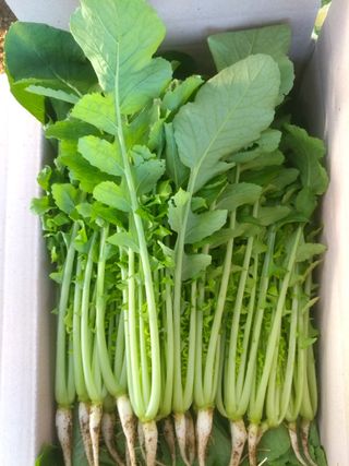 엄미애님의 작성글 사진