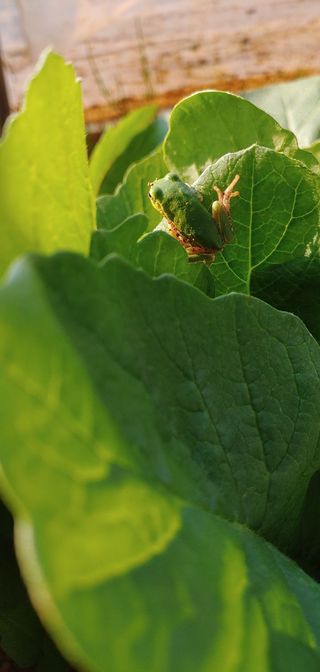 엄미애님의 작성글 사진