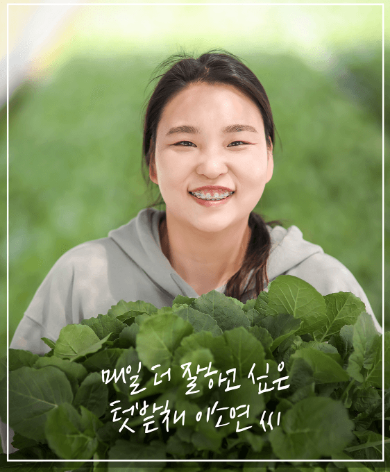 엄미애님의 장터 판매 상품 [무농약 일산열무 2키로. 4키로 ] 첨부 사진