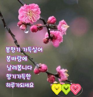 test2022101903님의 기타작물 · 자유게시판 작성글 사진