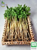 팜모닝 · 게시글 이미지