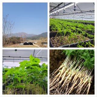 박홍수 님의 작성글 사진