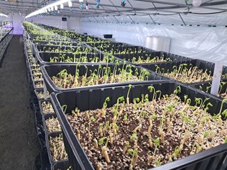 박홍수 님의 작성글 사진