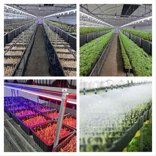 박홍수 님의 작성글 사진