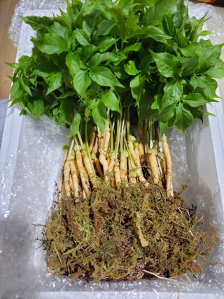 박홍수 님의 작성글 사진