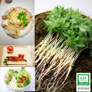 박홍수 님의 작성글 사진