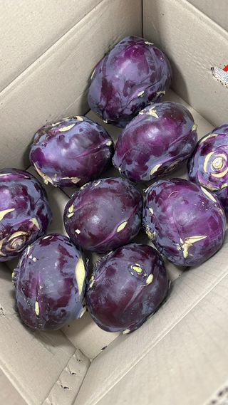 황도란님의 장터이야기 · 장터후기 작성글 사진